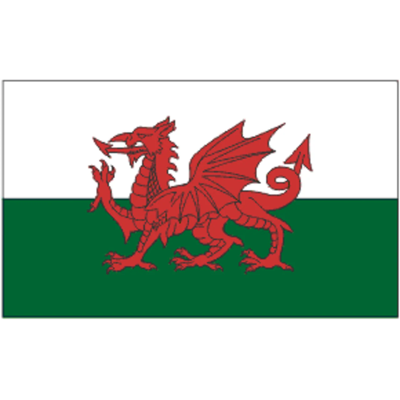 Wales 3ft x 5ft Printed Polyester Flag - Image 2